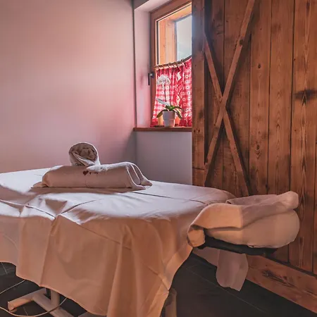 Bio Aparthotel Blaslahof 4* Santa Maddalena in Casies